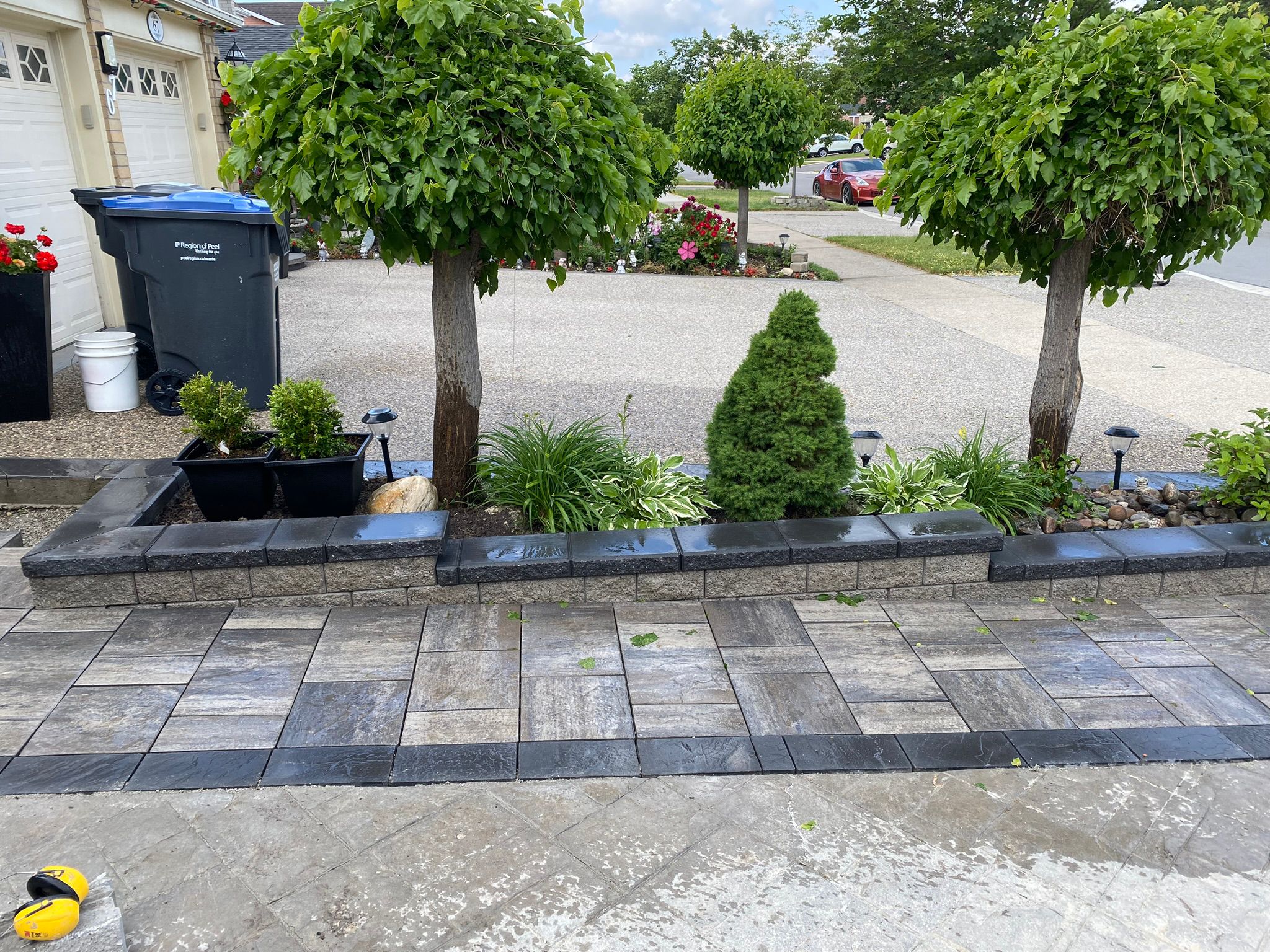 Pathway project 3